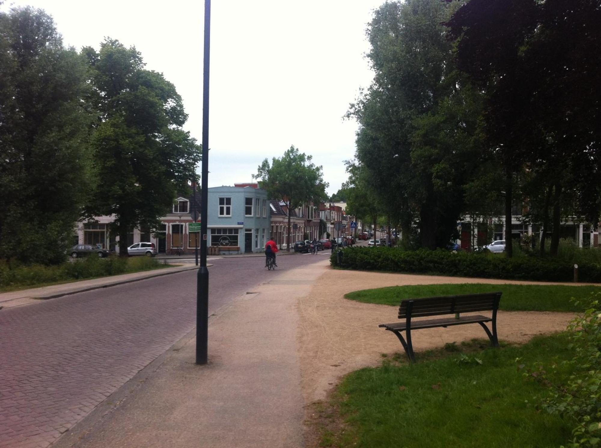 Olifant * Groningen